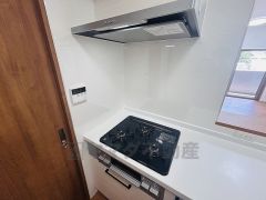 3口コンロなので、効率よくお料理が楽しめます。毎日のお料理も楽しくなりますね＾＾広々とした凸型シンクに洗剤ポケットを標準装備。大きなお鍋など洗いやすいです。洗剤や石鹸、スポンジもすっきりできる収納付き
