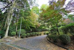 皿山公園