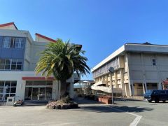 須恵東中学校