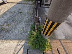 建築条件なし＾＾お客様のお好みにあったハウスメーカーで建築可能。スーパー・コンビニまで徒歩9分圏内＾＾