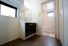 同仕様写真。レバーシャワーで引き出して使用できます。収納も一体型になっているので、ドライヤーやヘアアイロンの置き場に困りませんね。