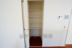 同仕様写真。キッチン横パントリー収納。食器やキッチン用品、食料品の保存に便利です＾＾高さのある物もスッキリ収納できます＾＾