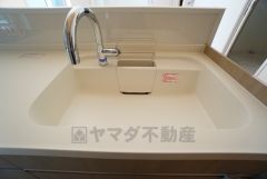 広々とした凸型シンクに洗剤ポケットを標準装備。大きなお鍋など洗いやすいです。洗剤や石鹸、スポンジもすっきりできる収納付き。