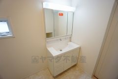 同仕様写真。レバーシャワーで引き出して使用できます。収納も一体型になっているので、ドライヤーやヘアアイロンの置き場に困りませんね。