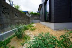 駐車スペースとは別にお庭もついております。広さも十分あるので、ガーデニングやBBQなど楽しみの増えるお庭です＾＾