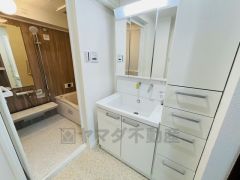 レバーシャワーで引き出して使用できます。収納も一体型になっているので、ドライヤーやヘアアイロンの置き場に困りませんね。