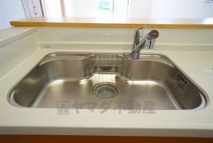 色も形もキレイなシンクは、広さも確保しているので、大きめの鍋も簡単に洗えます。