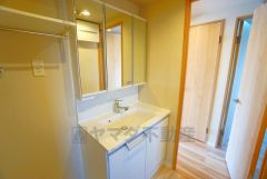 三面鏡つき洗面台。収納も一体型になっているので、ドライヤーやヘアアイロンの置き場に困りませんね。