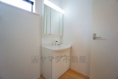 レバーシャワーで引き出して使用できます。収納も一体型になっているので、ドライヤーやヘアアイロンの置き場に困りませんね。